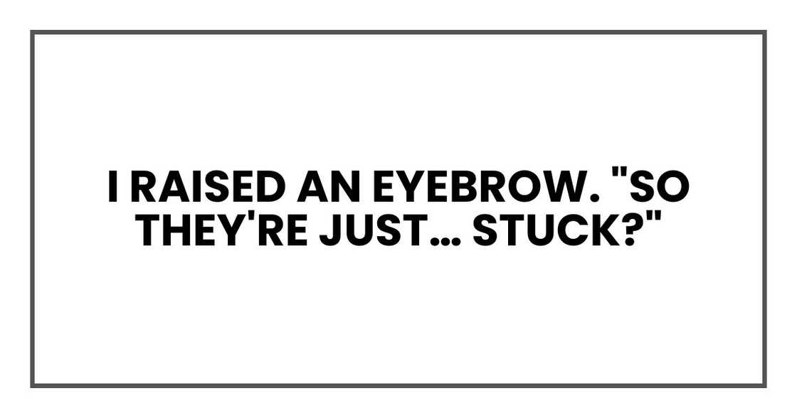 I raised an eyebrow. "So they're just… stuck?" I raised an eyebrow. "So they're just… stuck?"