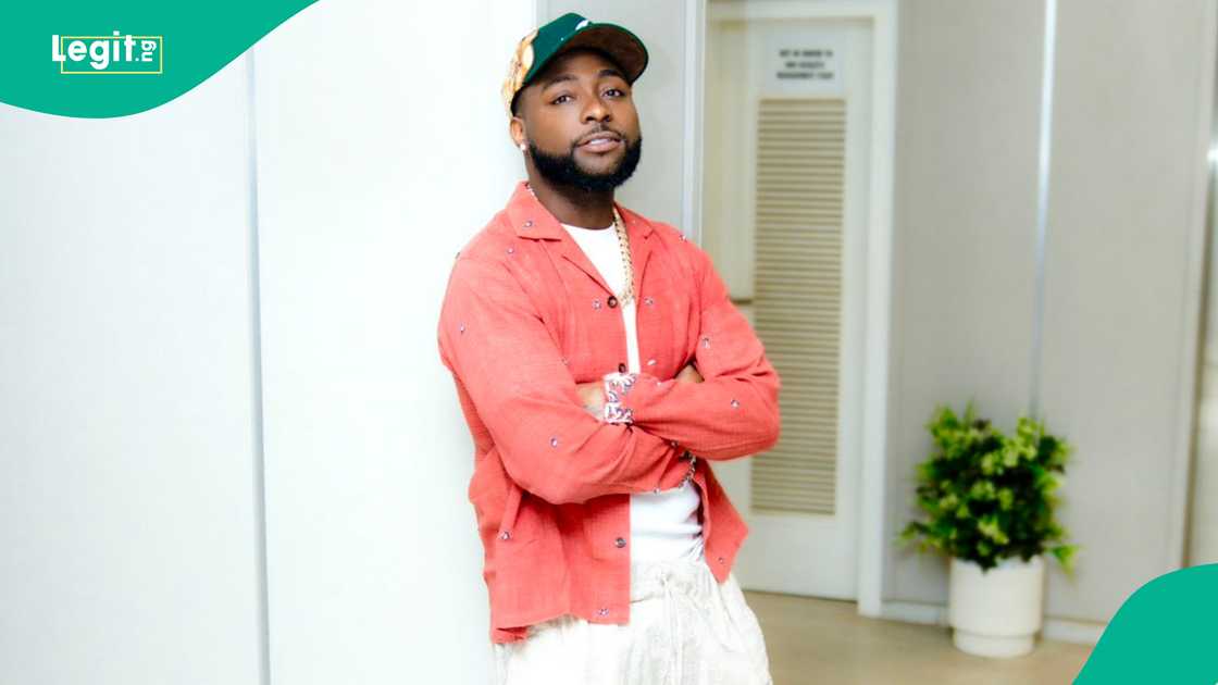 Davido Lambastus Troll Davido Lambastus Troll