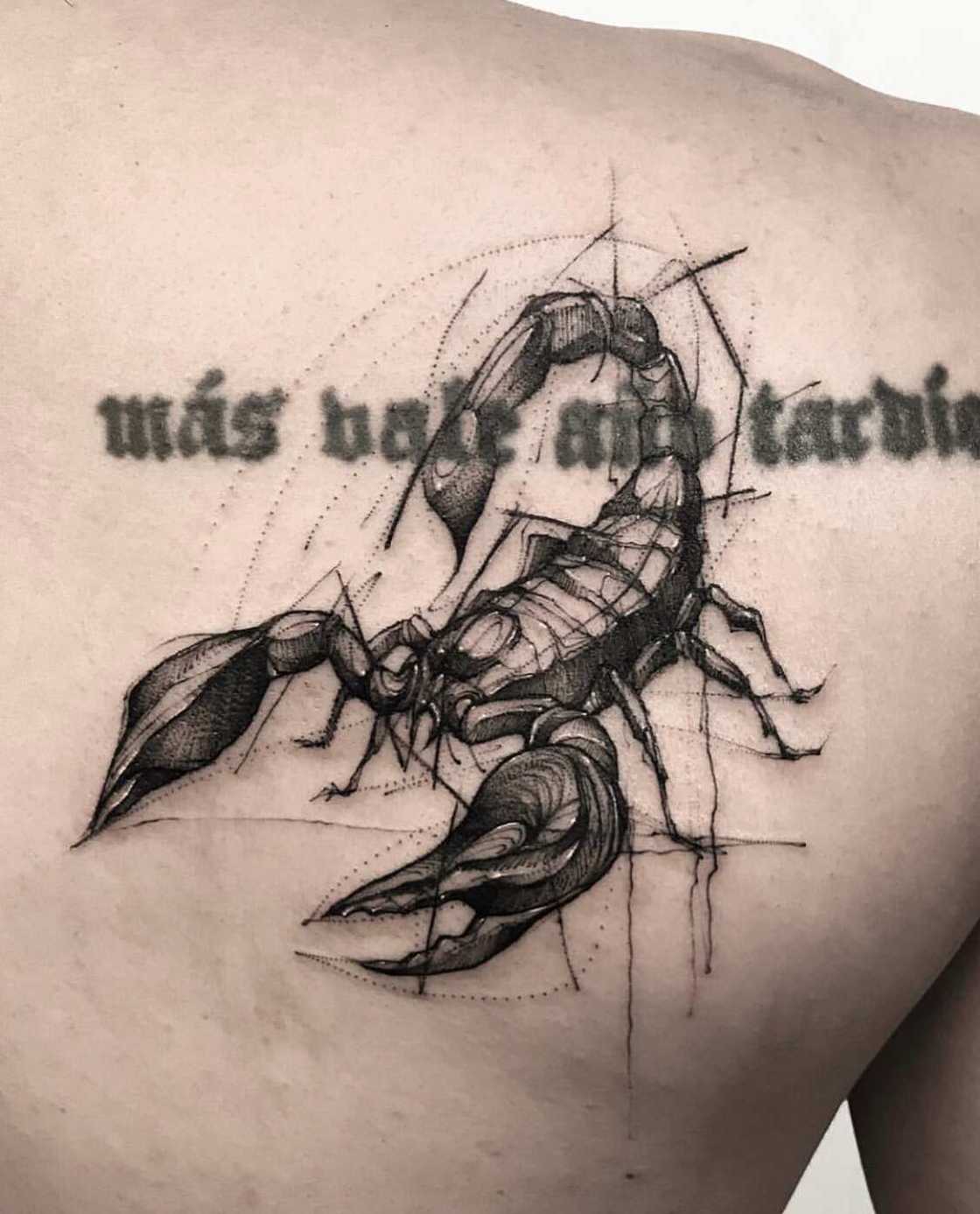 Scorpion tattoo designs