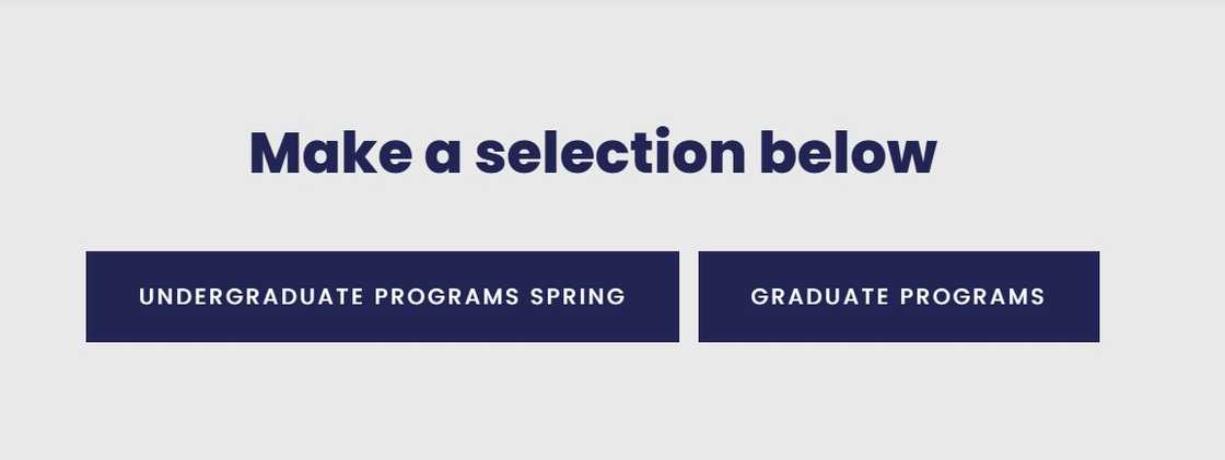 A screenshot of the American University of Nigeria application portal