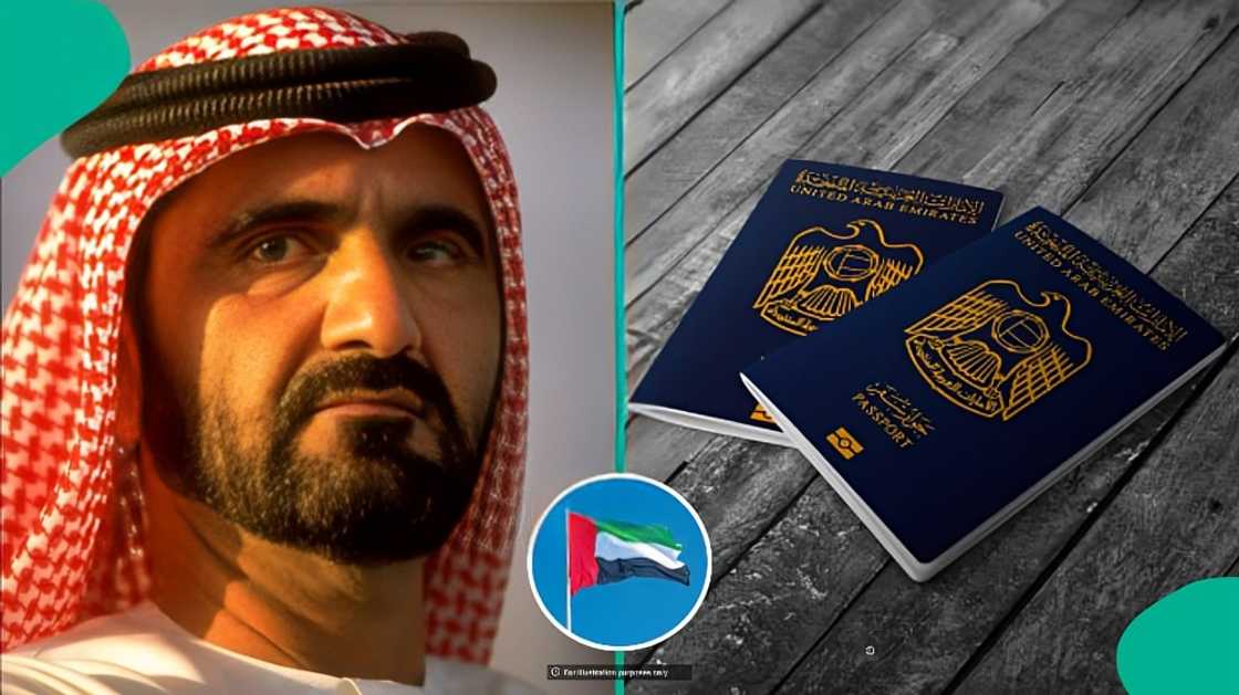 UAE publishes application process for residence visa, reveals permit fee UAE publishes application process for residence visa, reveals permit fee