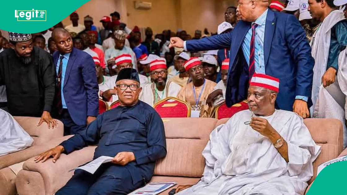 NDC za ta kafa kwamitin yakin neman zabe NDC za ta kafa kwamitin yakin neman zabe