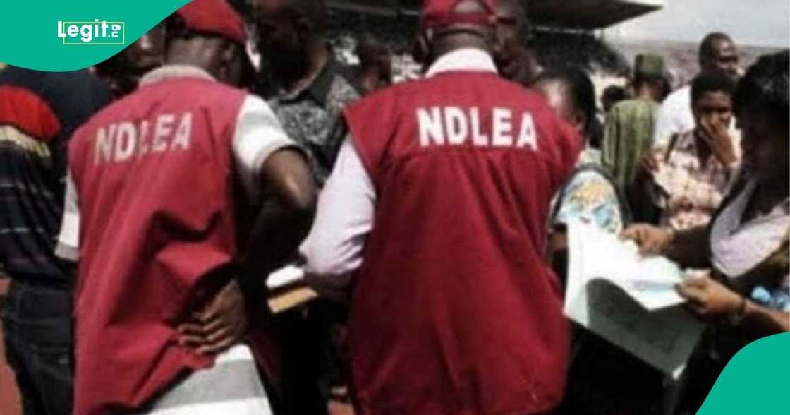 NDLEA hails court over conviction of drug kingpins