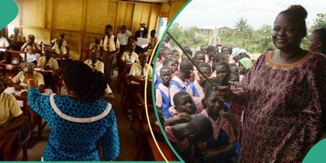 Teachers in class Teachers in class