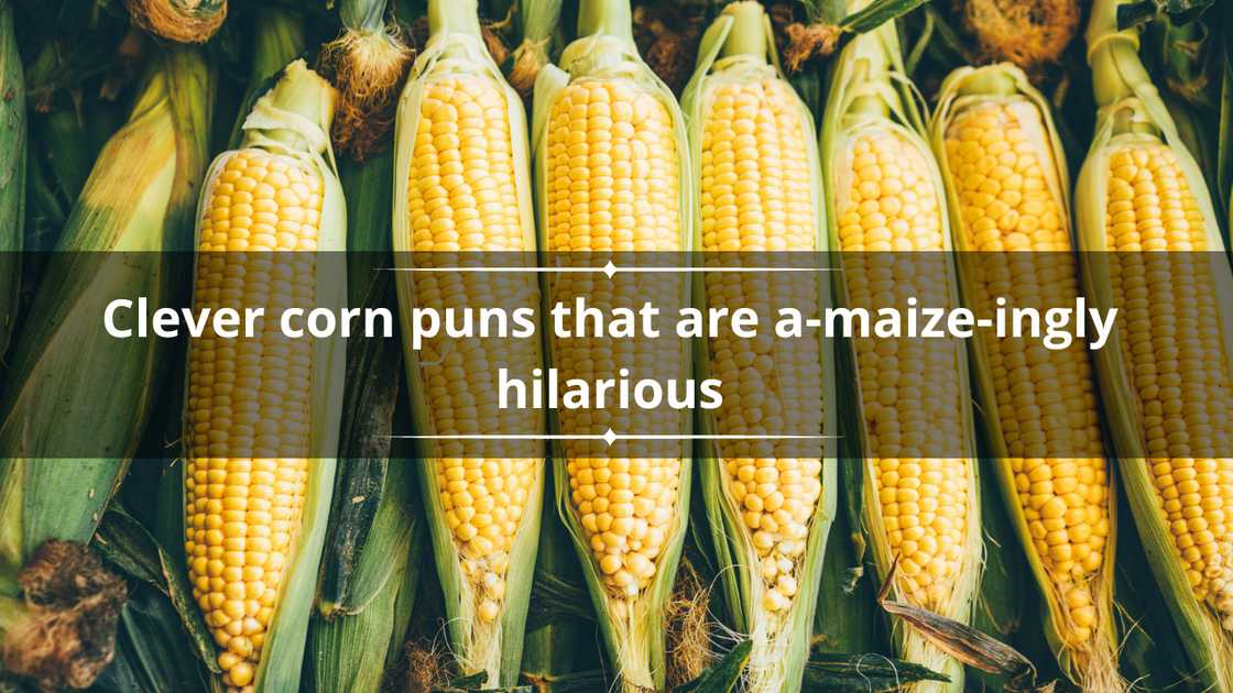 Clever corn puns