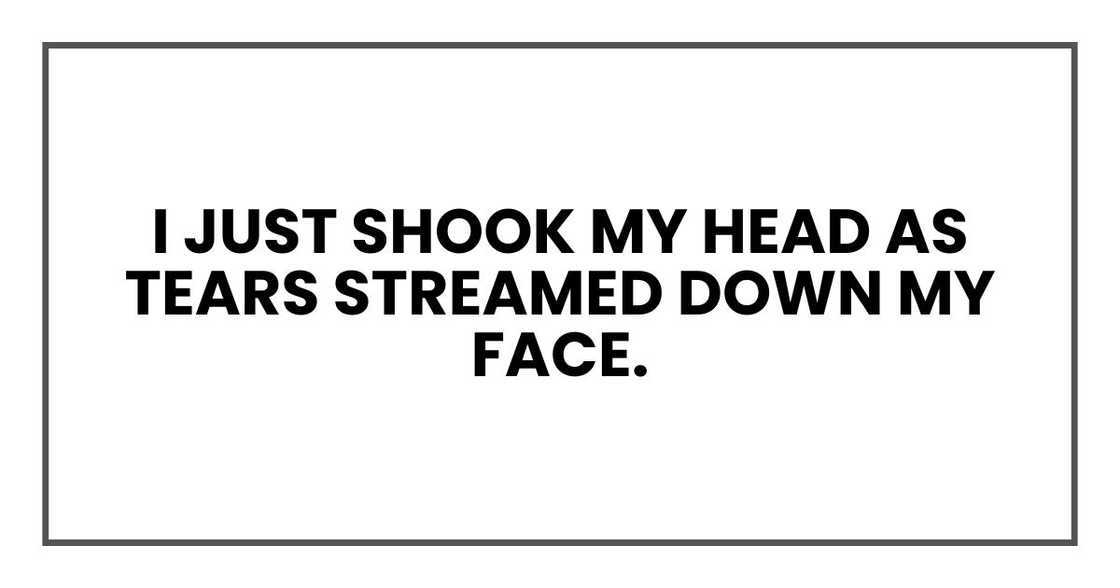 I just shook my head as tears streamed down my face.