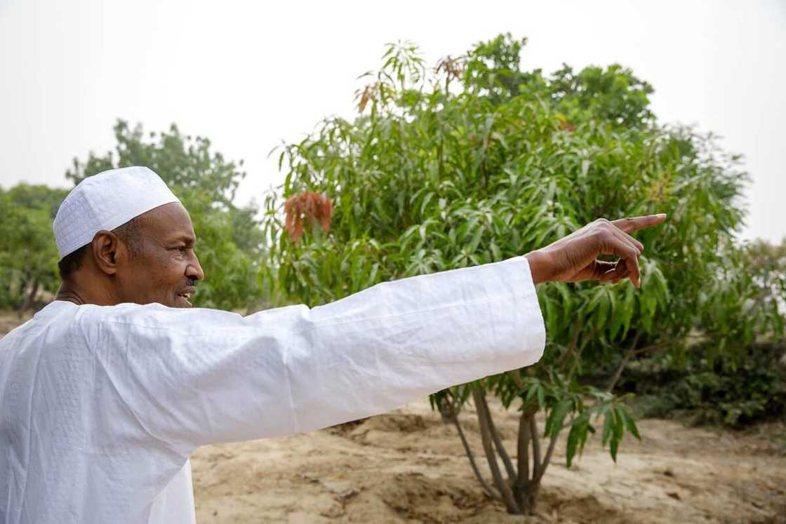 Buhari’s obsession with agriculture