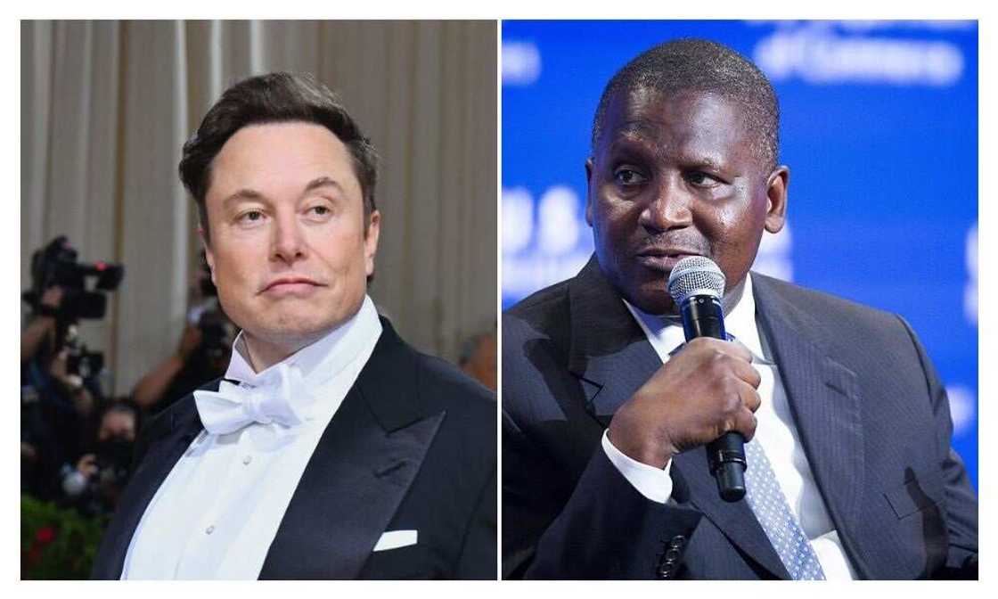 Aliko Dangote, Elon Musk, SpaceX, Tesla, Dangote Cement Aliko Dangote, Elon Musk, SpaceX, Tesla, Dangote Cement