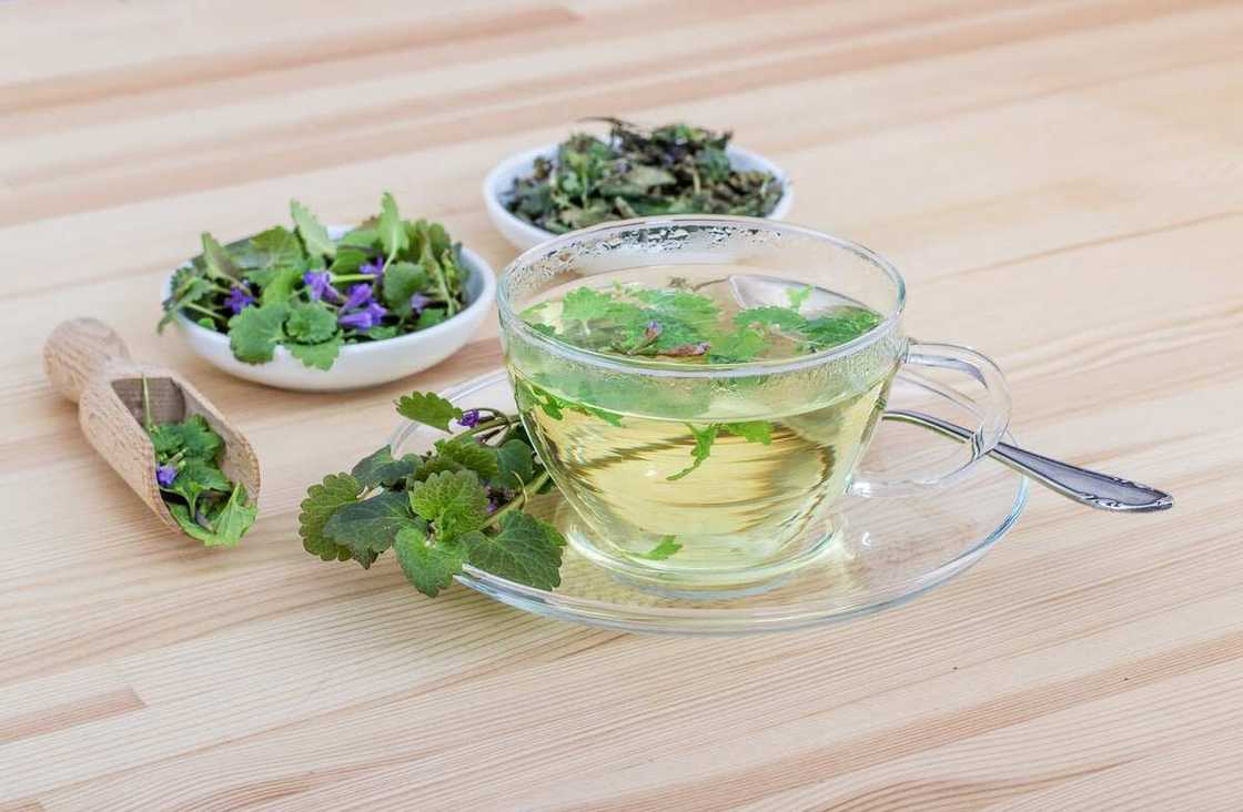 list of natural diuretics list of natural diuretics