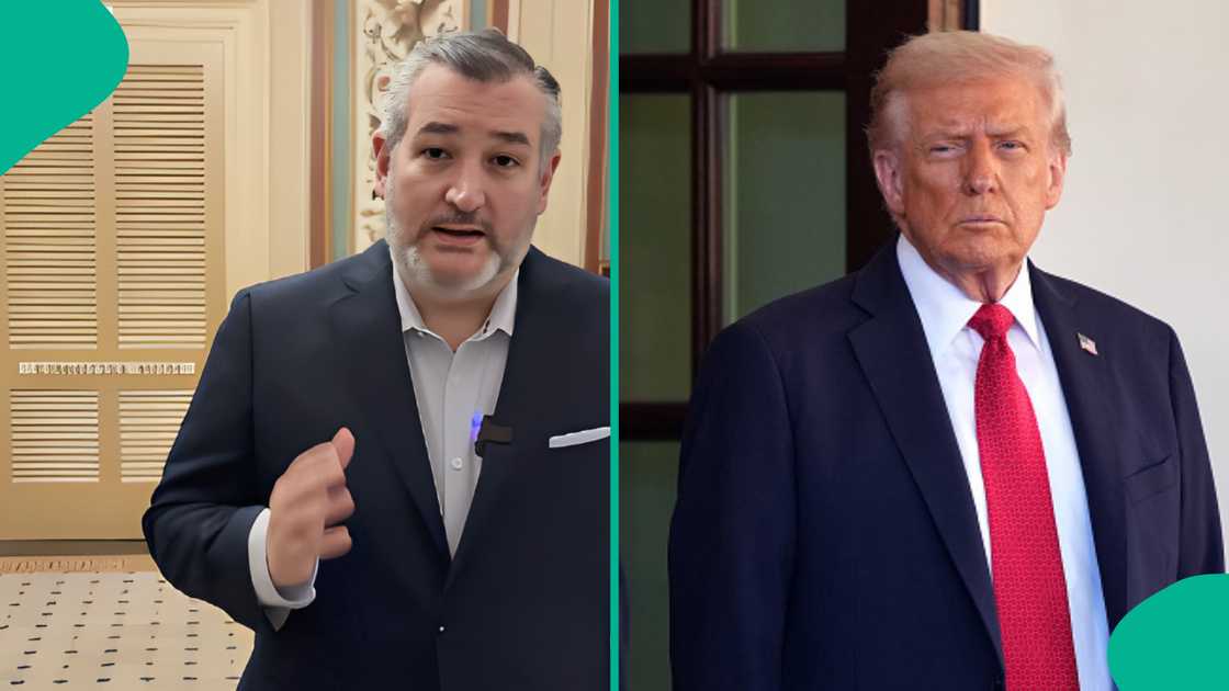 Ted Cruz's video stirs reactions among Nigerians.