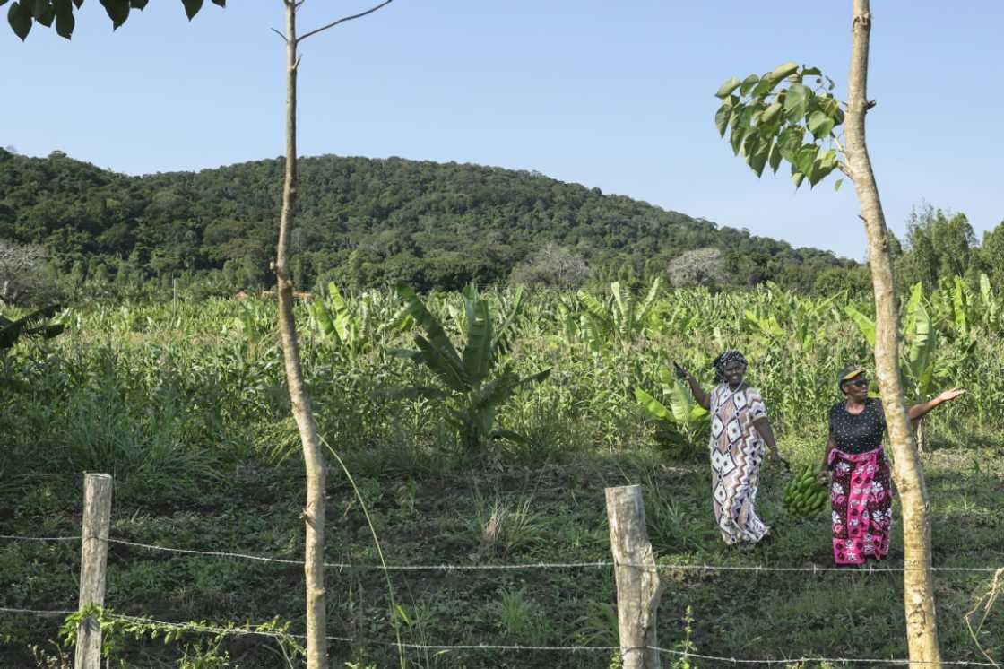 Locals are divided on how to benefit from interest in Mrima Hill's minerals Locals are divided on how to benefit from interest in Mrima Hill's minerals
