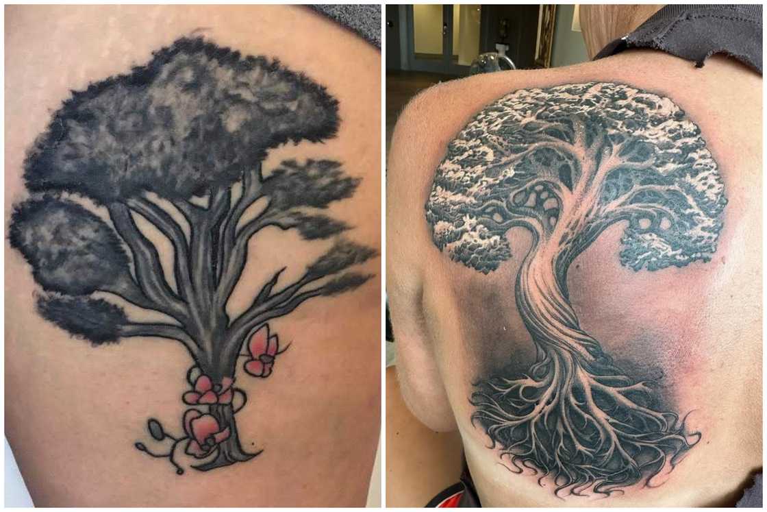 Realistic Tree of Life tattoo