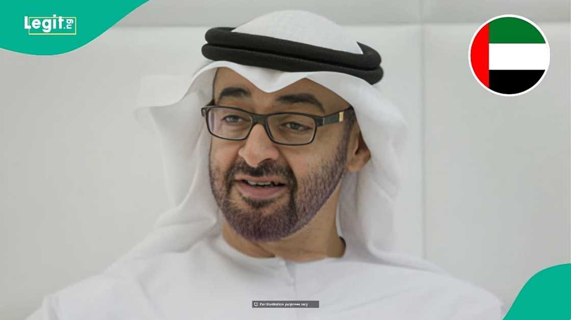 UAE publishes full list of 13 work permits foreigners can apply for UAE publishes full list of 13 work permits foreigners can apply for