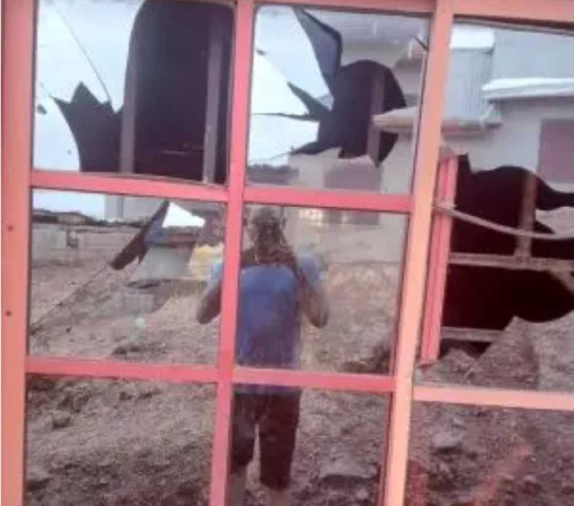 Harin Coci Harin Coci