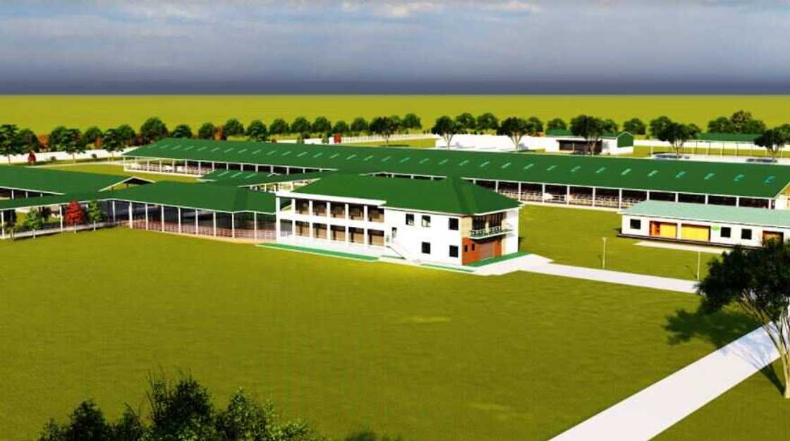 Arla Signs Construction Agreement with Tolaram on Kaduna Commercial Dairy Farm