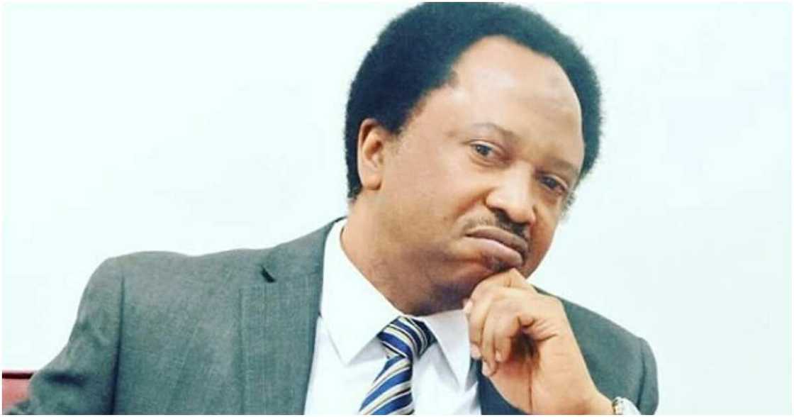 Katsina terrorist attacks, Senator Shehu Sani, who represented Kaduna Central, the 8th National Assembly, Nigerian governors, Boko Haram