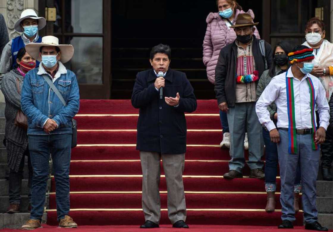 Peruvian President Pedro Castillo is the subject of six criminal probes over alleged graft and plagiarism Peruvian President Pedro Castillo is the subject of six criminal probes over alleged graft and plagiarism