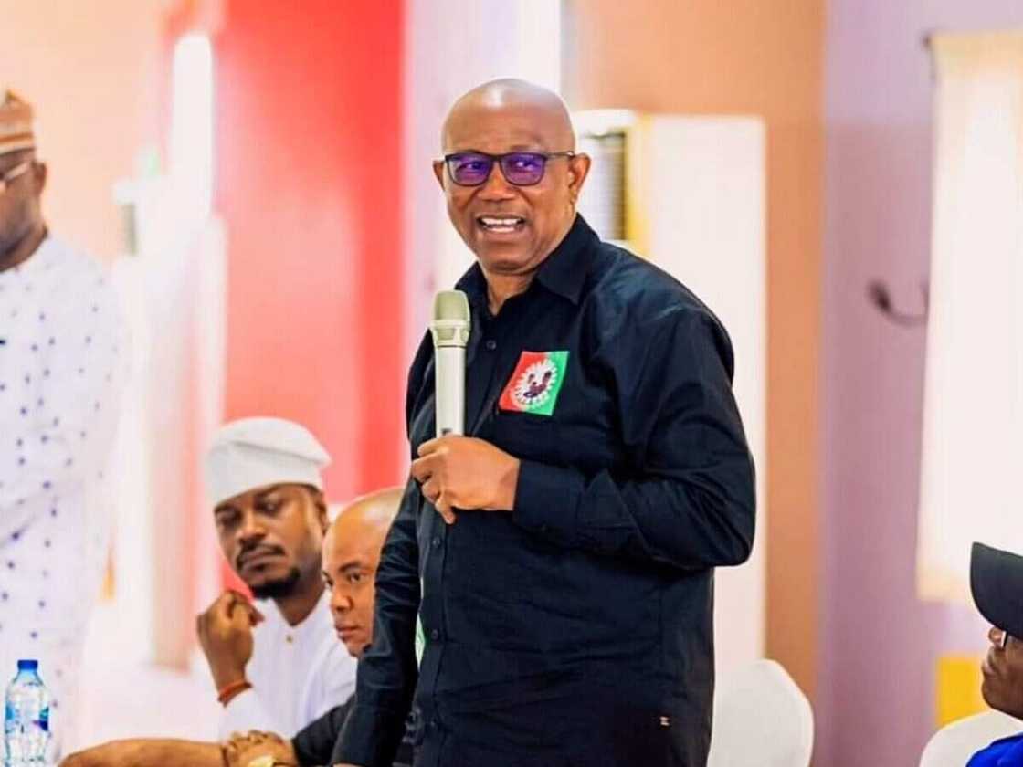 2023 general elections, Labour Party, Peter Obi, Pan Igbo organisation Ohanaeze Ndigbo Worldwide