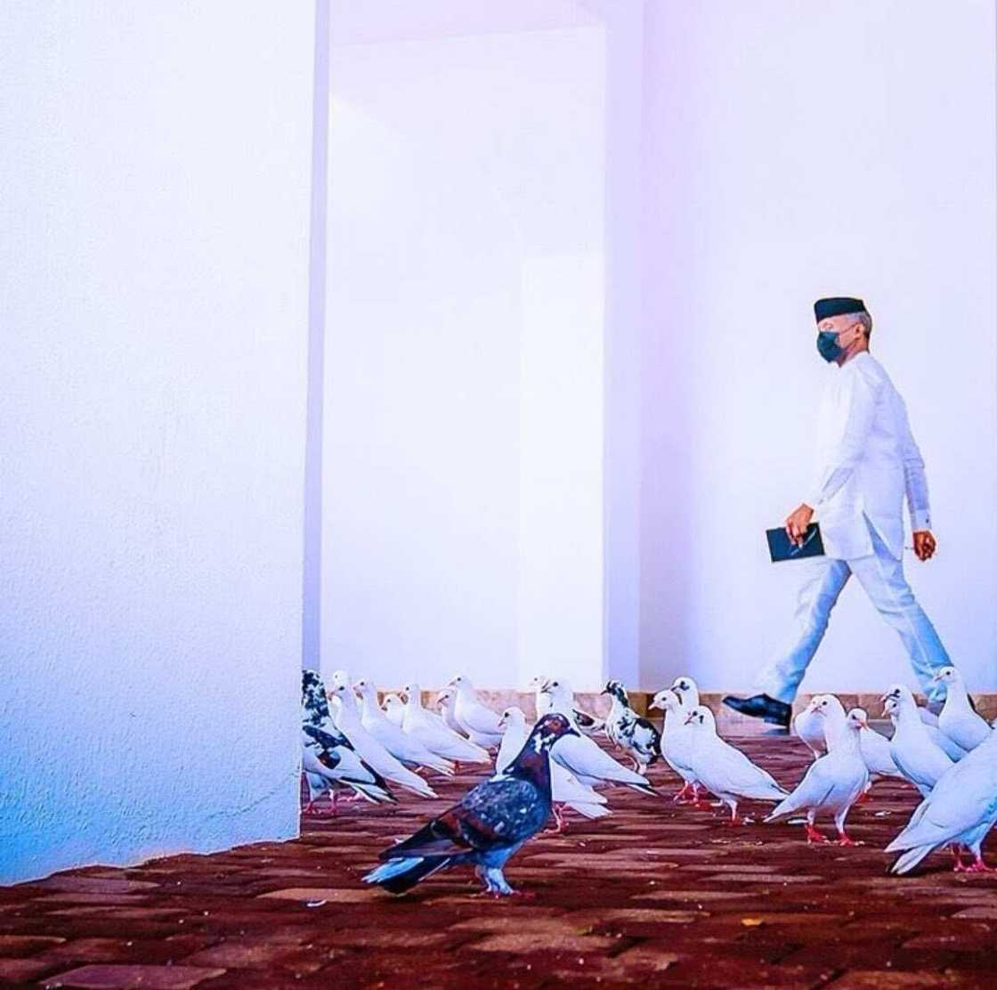 Seyi Gesinde praises Osinbajo Seyi Gesinde praises Osinbajo