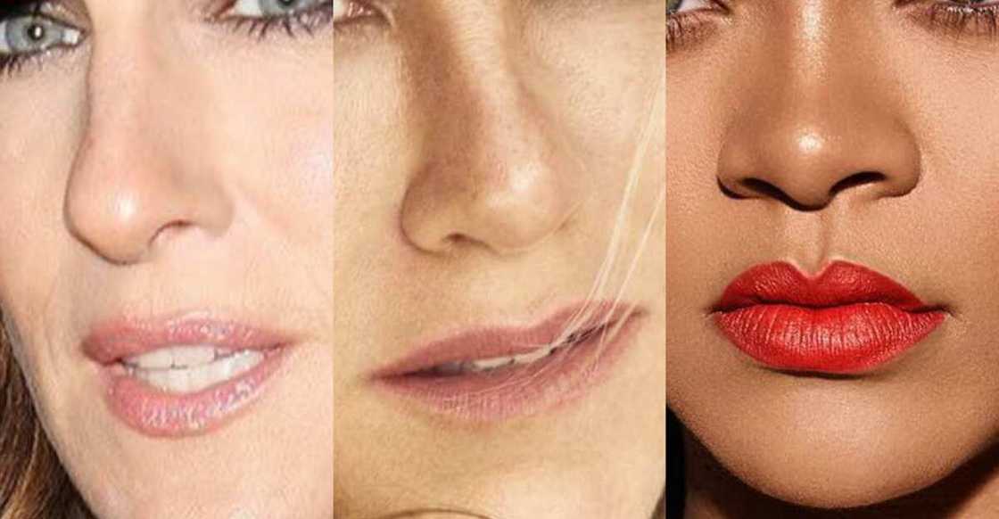 Types of noses Types of noses