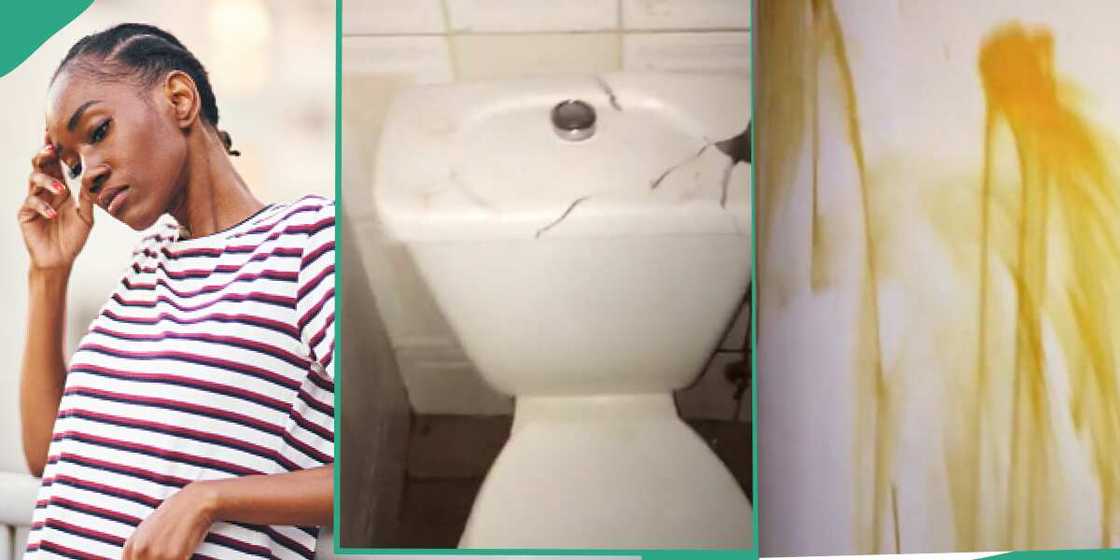 Cotonou, landlord, tenant, apartment Cotonou, landlord, tenant, apartment