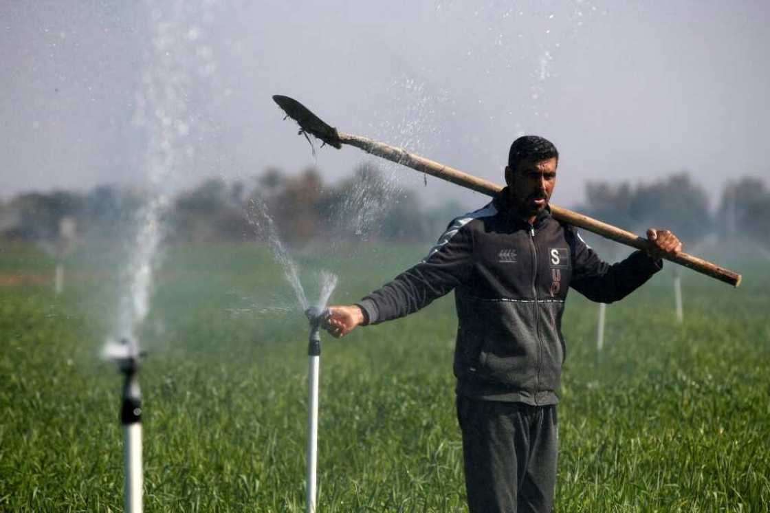 A water-saving irrigation system revived Iraqi farmer Mohammed Sami's crops -- and hopes A water-saving irrigation system revived Iraqi farmer Mohammed Sami's crops -- and hopes