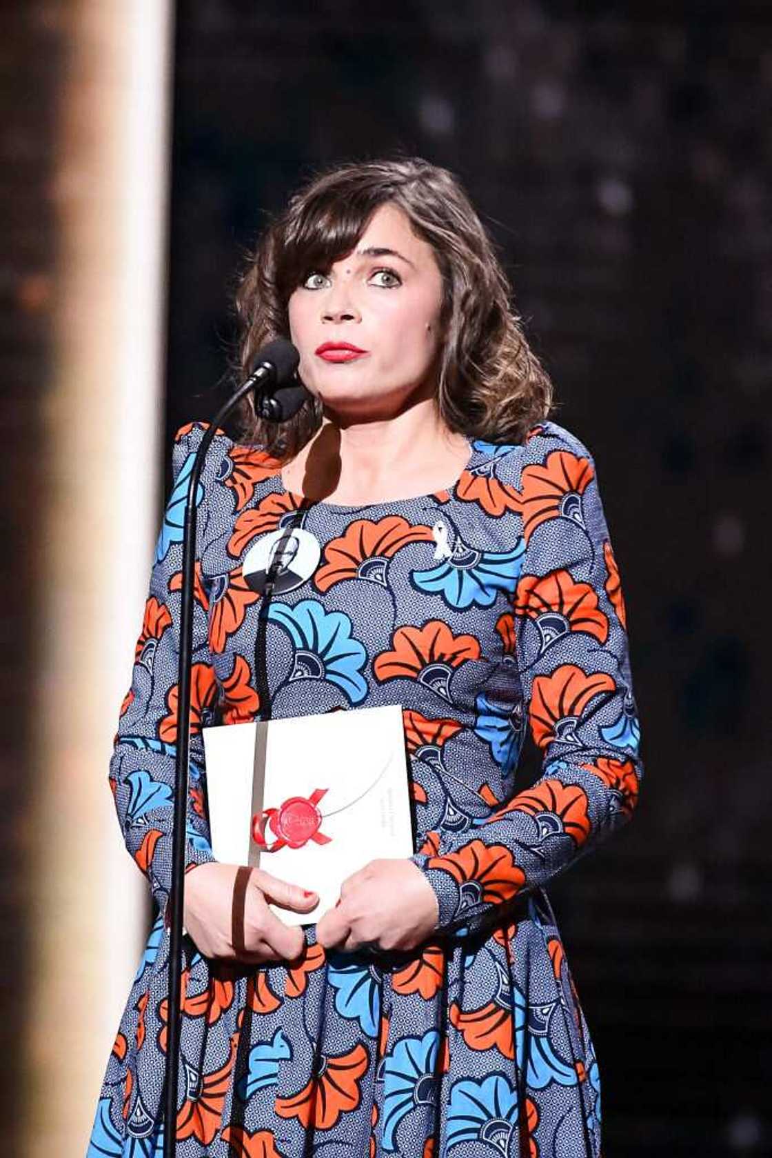 L'humoriste Blanche Gardin L'humoriste Blanche Gardin