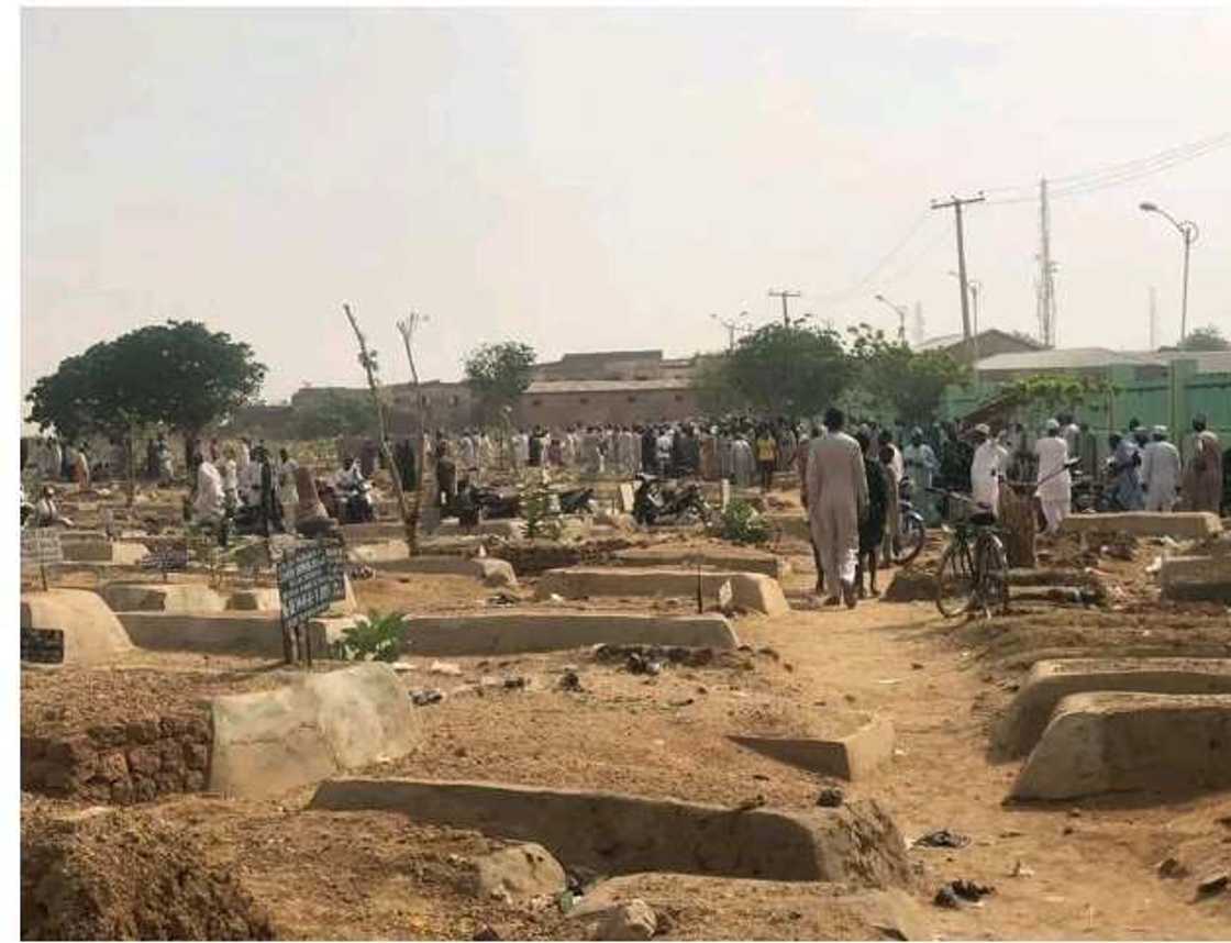 Dark history of Ireland's mother and baby homes resurfaces as investigators uncover the truth. Dark history of Ireland's mother and baby homes resurfaces as investigators uncover the truth.