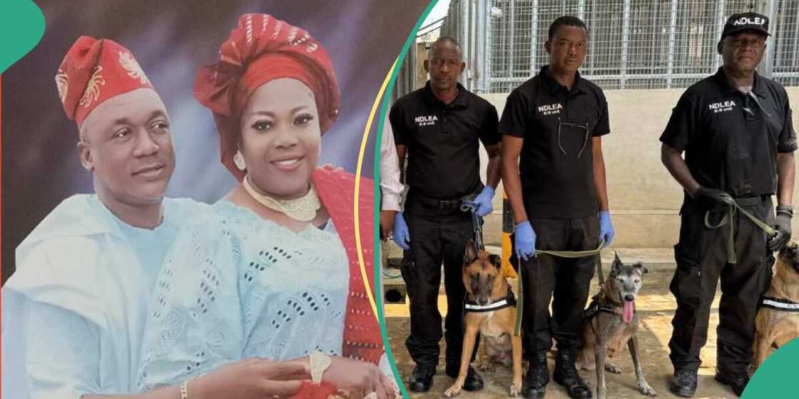 NDLE ta kai mamaya dabar masu safarar hodar iblis. NDLE ta kai mamaya dabar masu safarar hodar iblis.