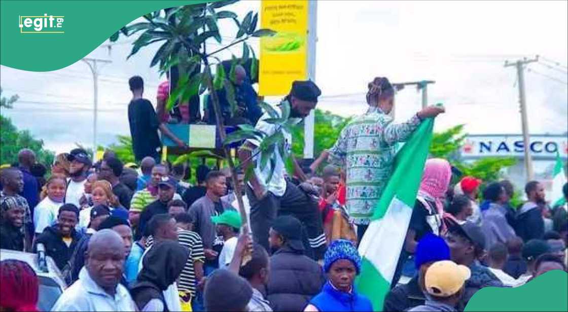 Zanga zanga Zanga zanga