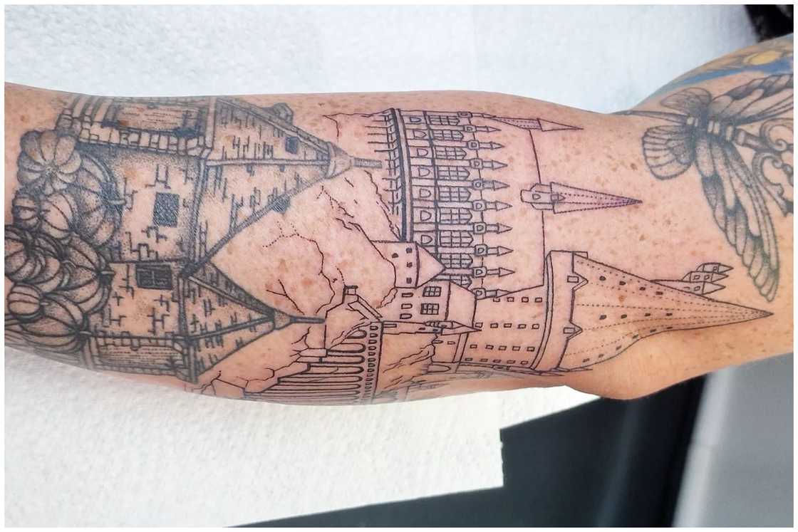 Ewok Village Ewok Village