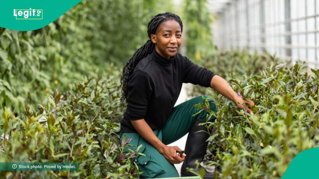 Agritech Startups Win $40,000 Agritech Startups Win $40,000