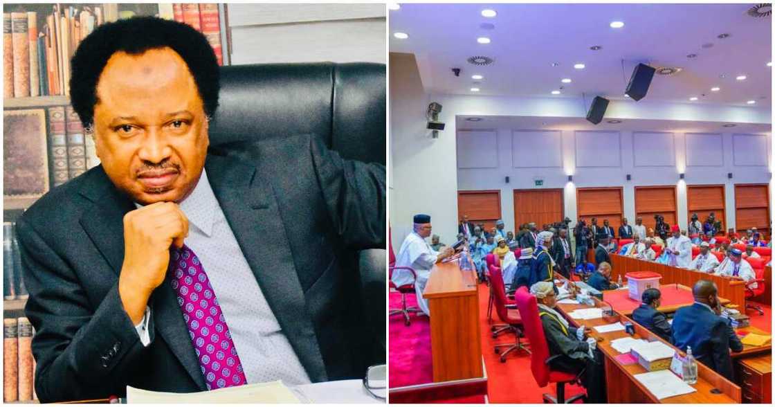 Minority leader/ Shehu Sani/PDP/ Labour Party/APC Minority leader/ Shehu Sani/PDP/ Labour Party/APC