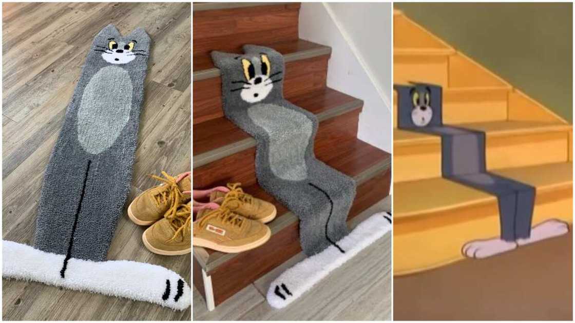 Man makes rug that looks like cartoon character from Tom & Jerry series, photos stir reactions Man makes rug that looks like cartoon character from Tom & Jerry series, photos stir reactions