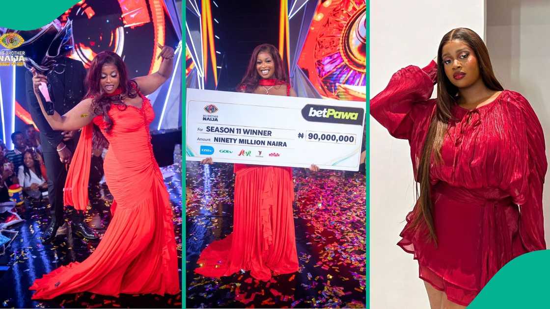 10 things to know about BBNaija Season 11 winner Temi Nkem and her rise to fame