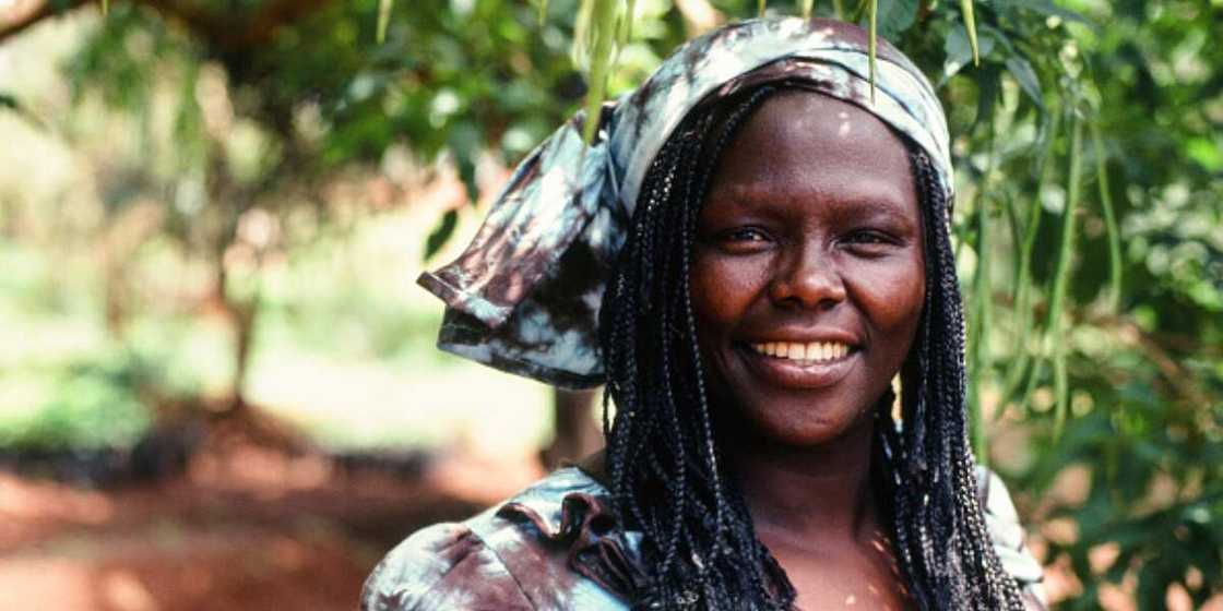 Wangari Maathai Wangari Maathai