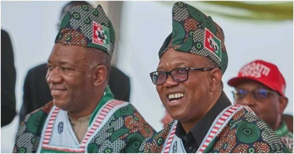 2023 election, APC, PDP, Labour Party, Bola Tinubu, Peter Obi, Atiku Abubakar 2023 election, APC, PDP, Labour Party, Bola Tinubu, Peter Obi, Atiku Abubakar