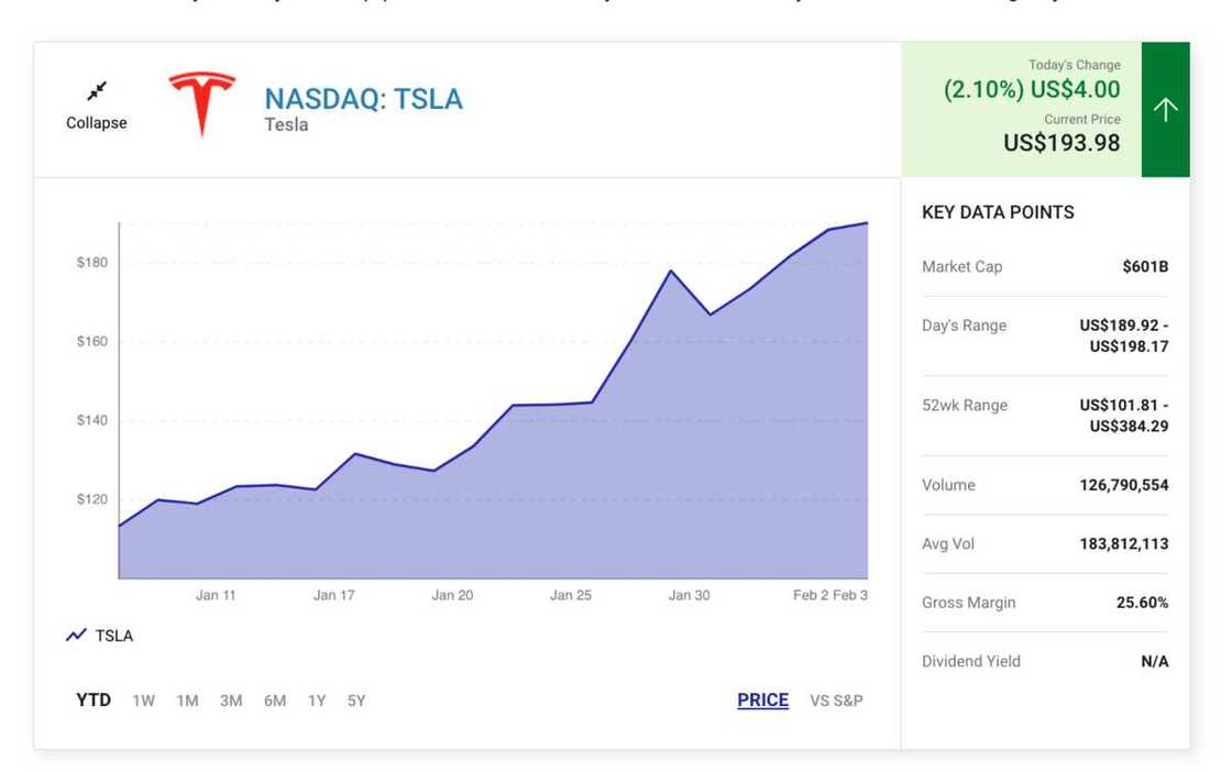 Elon Musk Wealth