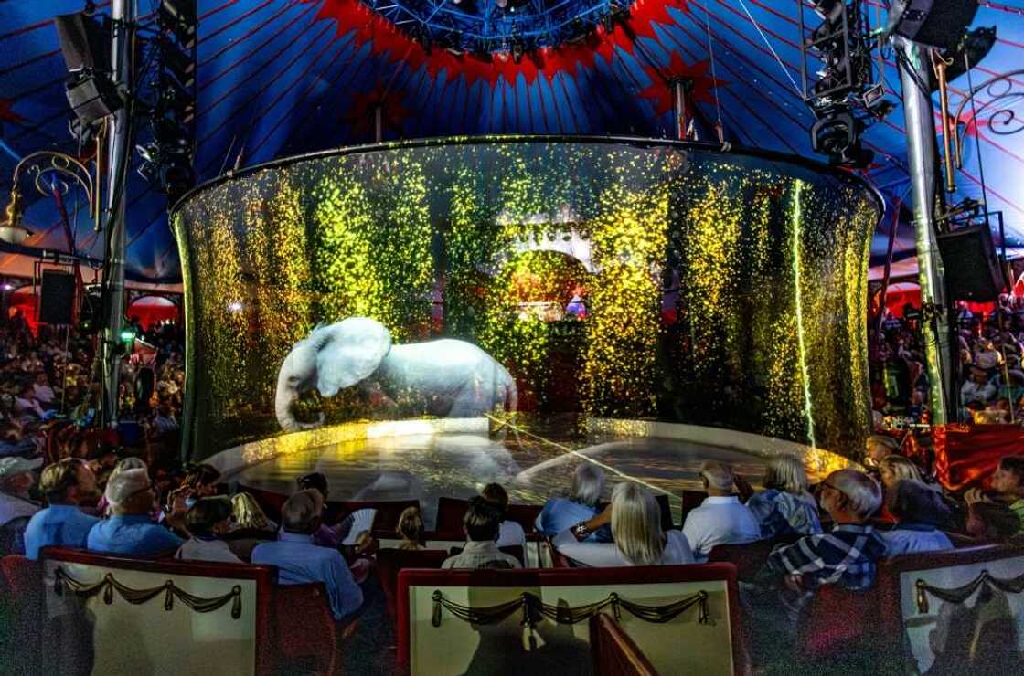 Germany's Roncalli circus removed animals from its programme in 2018 for animal welfare reasons