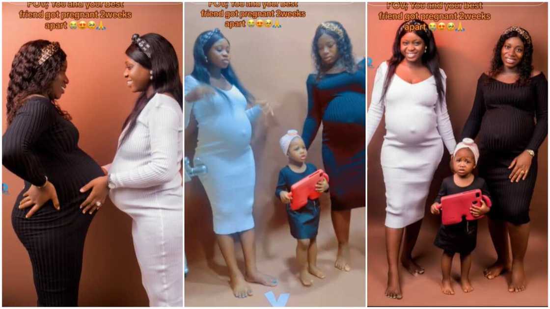 Pregnancy goals/Pregnant ladies took photos.