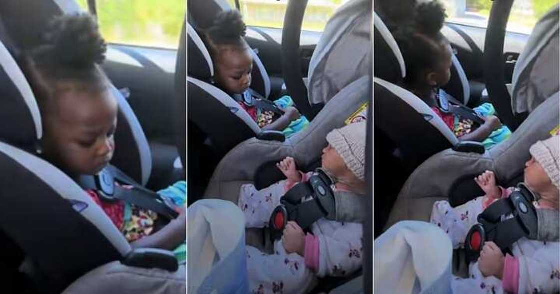 Little girl reacts after seeing baby sister for the first time