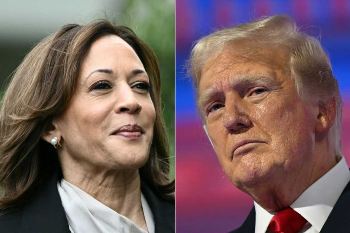 Tech campaigners are calling for stricter guardrails around AI ahead of the US presidential elections in November between Kamala Harris and Donald Trump