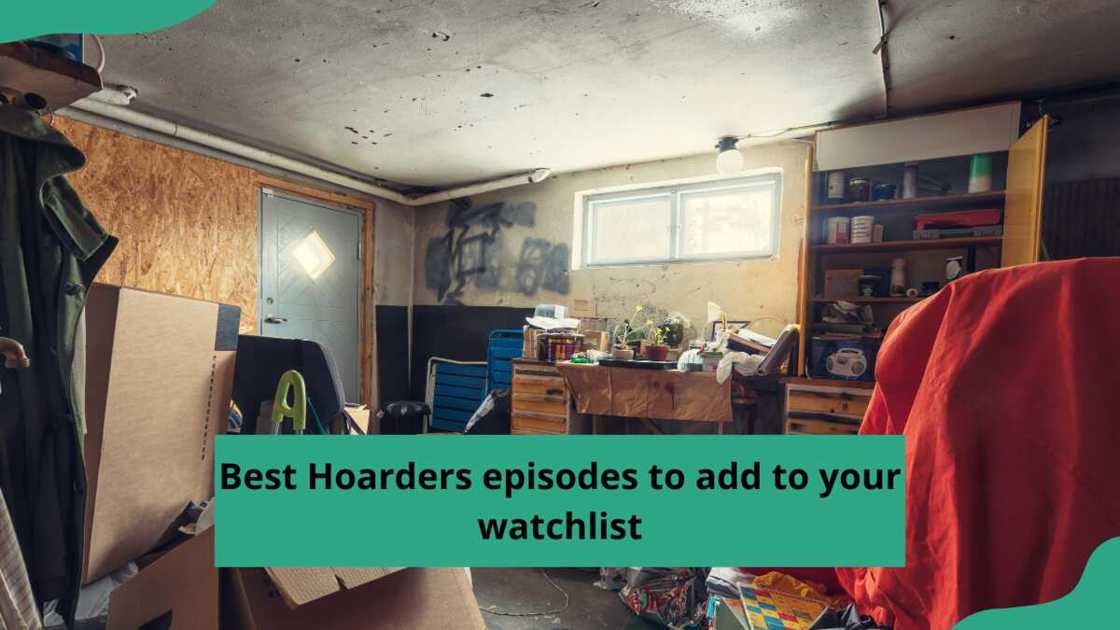 best hoarders episodes