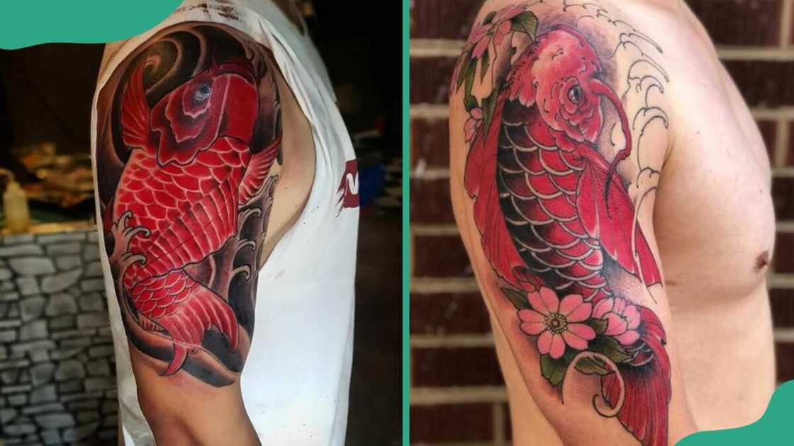 Red koi fish tattoo Red koi fish tattoo