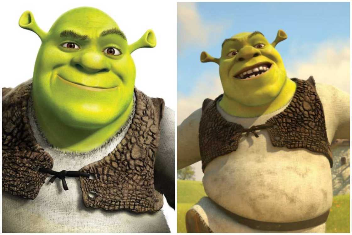 Shrek characters Shrek characters