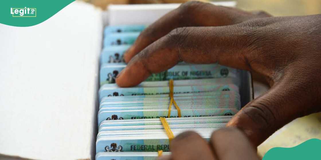 An official of the INEC sorting out PVCs of voters at a ward in Lagos on 12 January 2023. An official of the INEC sorting out PVCs of voters at a ward in Lagos on 12 January 2023.