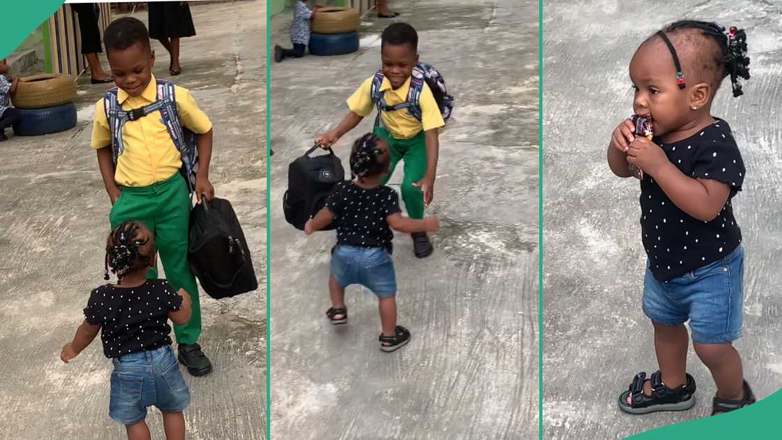 Boy and his sister melt hearts online.