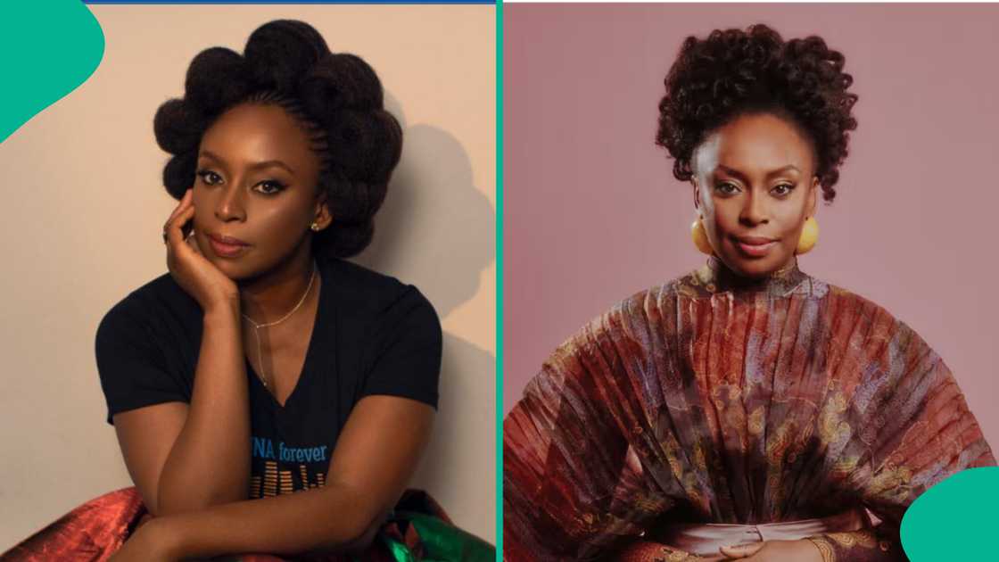 Chimamanda becomes mother of twins.