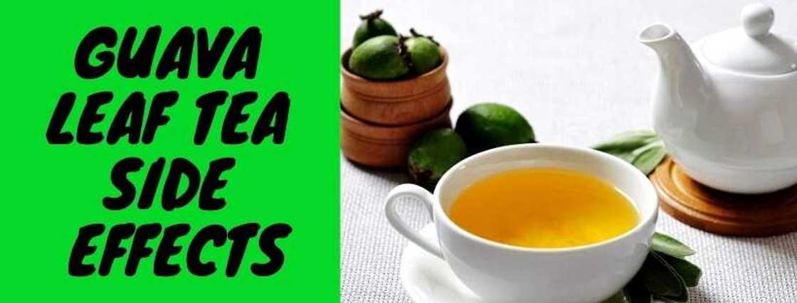 Guava Leaf Tea Side Effects