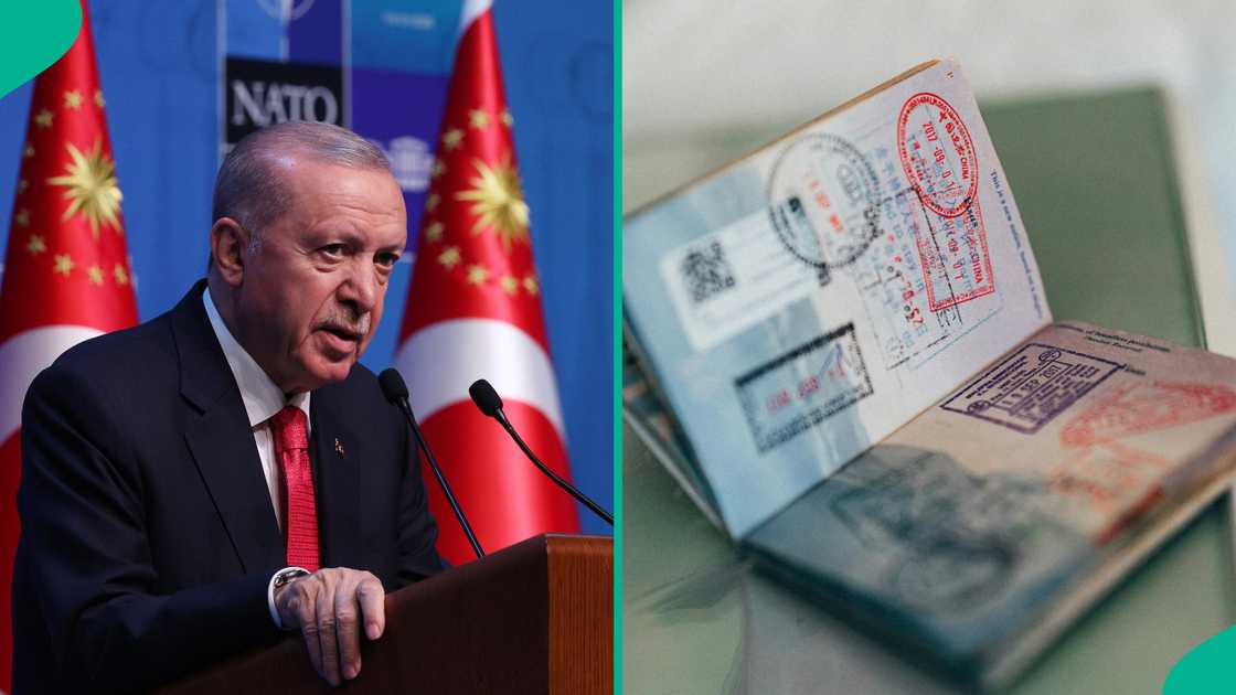 Turkey releases full list of 48 countries whose citizens can apply for its eVisa in 2026